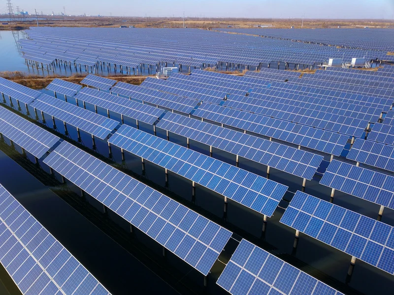Filas de paneles solares de una planta fotovoltaica